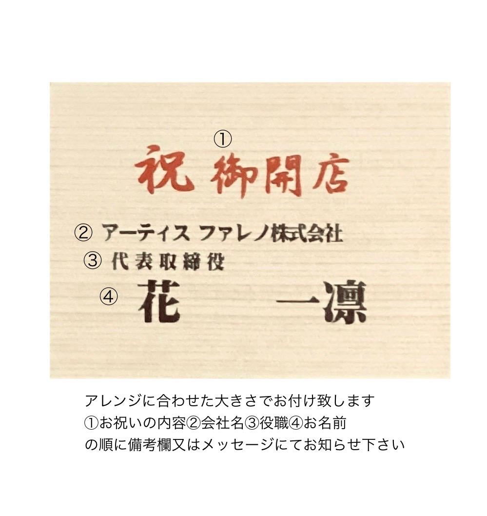 「リアルを超える美しさ」胡蝶蘭の鉢アレンジ | 9枚目